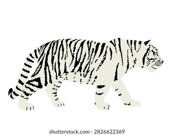 Siberian tiger vector illustration isolated on white background. Big wild cat. Amur tiger. Panthera tigris altaica. Tatoo sign. Zoo attraction.