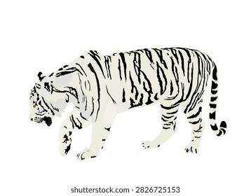 Siberian tiger vector illustration isolated on white background. Big wild cat. Amur tiger. Panthera tigris altaica. Tatoo sign. Zoo attraction.