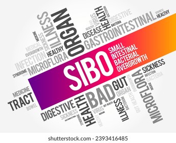 SIBO - Small Intestinal Bacterial Overgrowth is an imbalance of the microorganisms in your gut that maintain healthy digestion, word cloud concept background
