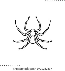 Sicariidae, Poisonous Spider Vector Icon In Outline