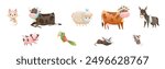 Sick Baby Animal with Bandage Injury Vector Set