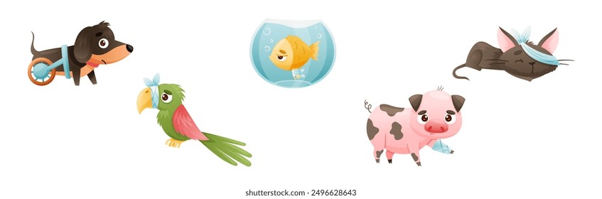 Sick Baby Animal with Bandage Injury Vector Set