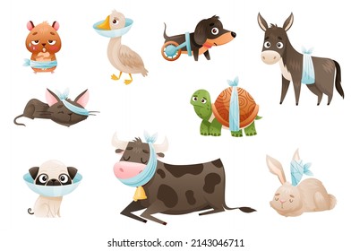 Enfermos animales para bebés. Cerdo vendado triste, burro, cachorro, gatito, hámster, ilustración vectorial de la caricatura de tortuga