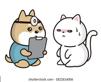 A sick cat and the veterinarian (shiba inu).