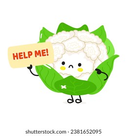 Sick Cauliflower asks for help character. Vector hand drawn cartoon kawaii character illustration icon. Isolated on white background. Suffering unhealthy Cauliflower character concept