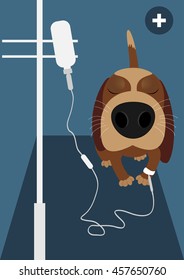Sick dog on a drip. It can be used for veterinary clinics. Vector illustration