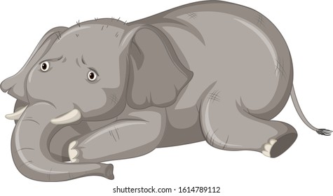 Sick elephant on white background illustration