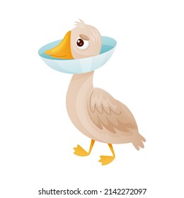Sick goose with protective veterinary collar cartoon vector illustration