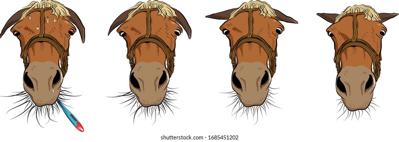 The sick horse. Cartoon art. The horse head is going better. Four positions.