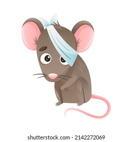 Sick mouse animal. Sad baby animal with bandage on its head suffering from headache cartoon vector illustration