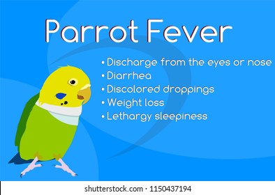 Sick parrot Bird disease. Having signed the disease and signs. Veterinary clinic, veterinary treatment. Medicines for animals. Parrot fever Modern vector flat design image isolated on white background