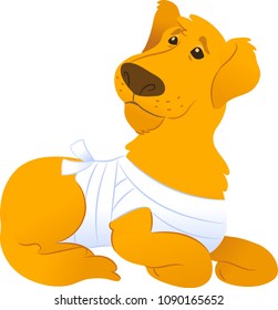 Sick sitting dog with bandage. Vector illustration.
