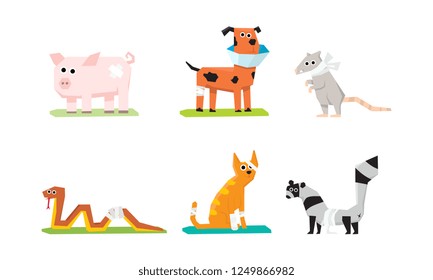 Sick and wounded animals set, veterinary care, pig, rat, cat, snake, dog, raccoon with plasters and bandages vector Illustration