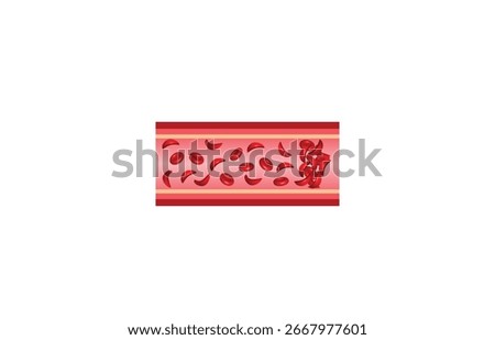 Sickle cell anemia, disease. Sickle cell, abnormal hemoglobin. Gene mutation. Vector illustration.