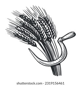 Sickle and wheat in style old engraving. Vintage sketch vector illustration for bakery or cooking