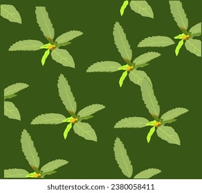 Sida acuta seamless pattern on green background
