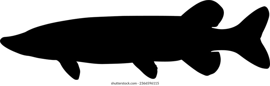 Side body view example - Black and white icon vector art study model of a predatory spotted muskie fish species.