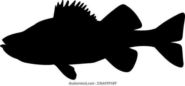 Side body view example - Black and white icon vector art study model of a small predatory perch fish species.