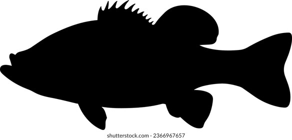 Side body view example - Black and white icon vector art study model of a predatory large mouth bass fish species.