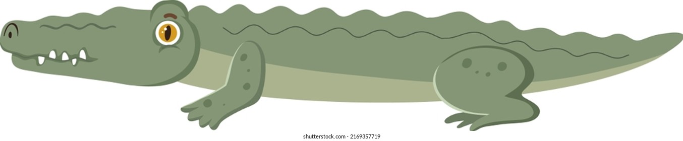 Side of crocodile in flat cartoon style illustration