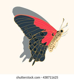 a side face butterfly illustration in dark green, red and gold shades