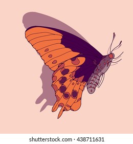 a side face butterfly illustration in orange and purple shades
