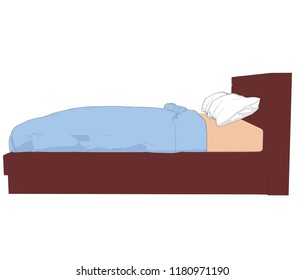 Side floor level view Birds eye view perspective angle Double bed furniture interior element pillows blanket oak wood brown blue white