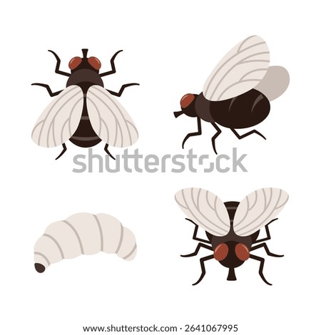 Side, front and top views of a pest fly. And fly larvae.