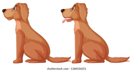 Side of golden retriever illustration