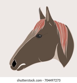 Side of the Head of the Horse isolated on white.