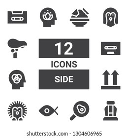side icon set. Collection of 12 filled side icons included Seat, Fried egg, Fisheye, Hedgehog, Side up, Head, Cassette, Penguin, Nachos