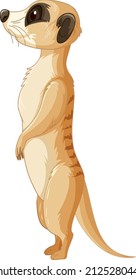 Side of meerkat animal in cartoon style illustration