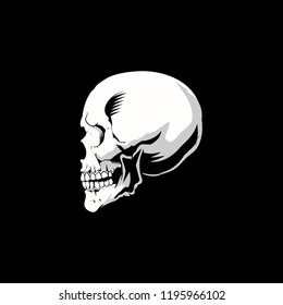 the side part of skull head or cranium vector
