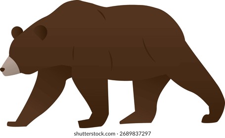 Side Profile of a Walking Bear.
