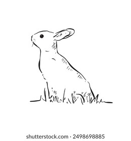 A side profile wild rabbit drawn in black and white sketch. Bunny with little ears with grass around the bottom of the picture. Line drawn by hand vector.