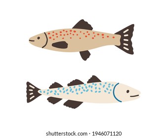 Side view of Atlantic spotted fishes. Baltic herrings isolated on white background. Colored flat vector illustration of northern trout