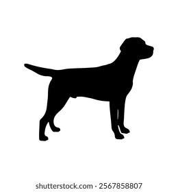 Side view black labrador retriever silhouette vector illustration design on white background.