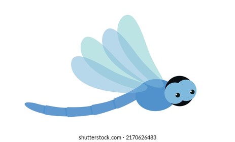 side view of blue dragonfly 