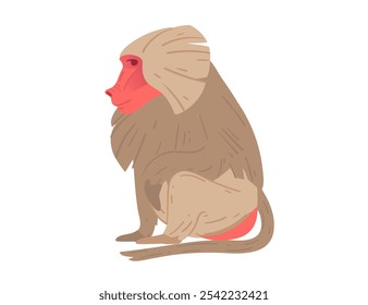 Side view of a cartoon baboon with distinctive red face and fur texture. Suitable for wildlife themes, educational materials, or zoo visuals. Vector illustration isolated on white background.