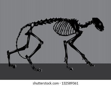 side view of cat skeleton