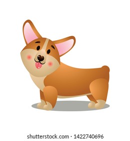 Side view of corgi dog viewing and smiling to owner