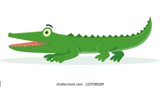 Side view of crocodile isolated on white background