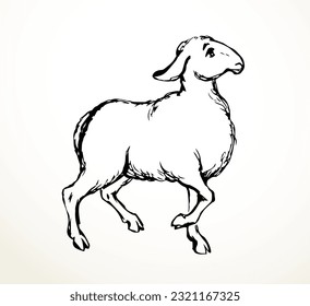 Side view cute funny small goat kid leg go look ranch zoo field text space scene. Gray black hand drawn big herd old muslim islam cartoon art fun hoof beast baby retro ancient bible artist logo emblem