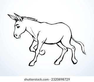 Side view cute old funny dun horse foal mane pony pet go ranch zoo stand white text space. Gray black pen line hand drawn muslim islam art fun hoof beast baby retro ancient bible artist logo sign icon svg