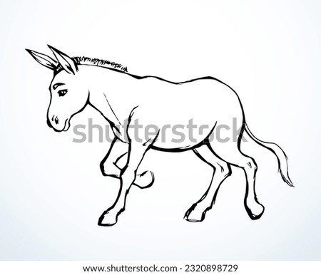 Side view cute old funny dun horse foal mane pony pet go ranch zoo stand white text space. Gray black pen line hand drawn muslim islam art fun hoof beast baby retro ancient bible artist logo sign icon