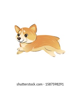 Side view of cute running dog breeds Welsh Corgi cartoon style, vector illustration isolated on white background. Happy active puppy pet is running or jumping, dog animal character