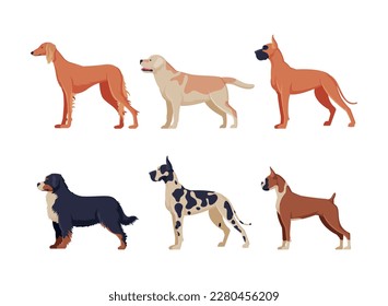 Side view of dogs of different breeds set. Purebred pet animals cartoon vector illustration