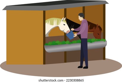 side view of a farmer holding bucket and feeding a horse in stable, feeding horses in a farm vector, a farmer working hard to take care of his horses,  farming activity vector illustration, grazing