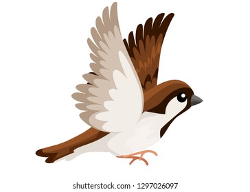 Mallard Duck Flying Stock Vector (Royalty Free) 146278619 | Shutterstock