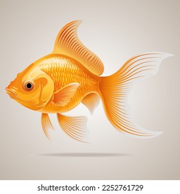 Side view of a Goldfish in water. Vector color illustration.